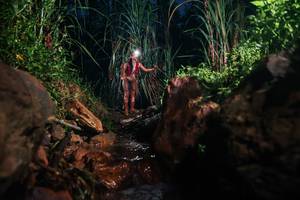 BIB: 
                            <button type="button" onclick="openModal(26415557)" class="btn btn-primary btn-sm float-right btn-popup" data-toggle="modal" data-target=".modal-high-quality">
                        <i class="fas fa-shopping-cart"></i> Add to Cart
                    </button>
                                            <button type="button" onclick="isThisMe(26415557, true)" class="btn btn-success btn-sm float-right btn-popup btn-isme hidden" data-toggle="tooltip" data-placement="bottom" title="นี่คือรูปของคุณใช่ไหม คลิกที่นี่เพื่อเอาเข้าอัลบั้ม">
                        <i class="fas fa-plus"></i> Add to album
                    </button>
                    <button type="button" onclick="isThisMe(26415557, false)" class="btn btn-warning btn-sm float-right btn-popup btn-isnotme hidden">
                        <i class="fas fa-ban"></i> Remove from album
                    </button>